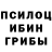 Псилоцибиновые грибы ЛСД Baktygul Esengeldieva